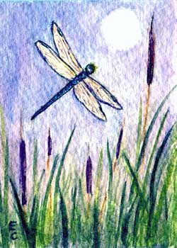 "Moon Rise & Dragonfly Lake Darner" by Elizabeth Clayton, Brookfield WI - Watercolor